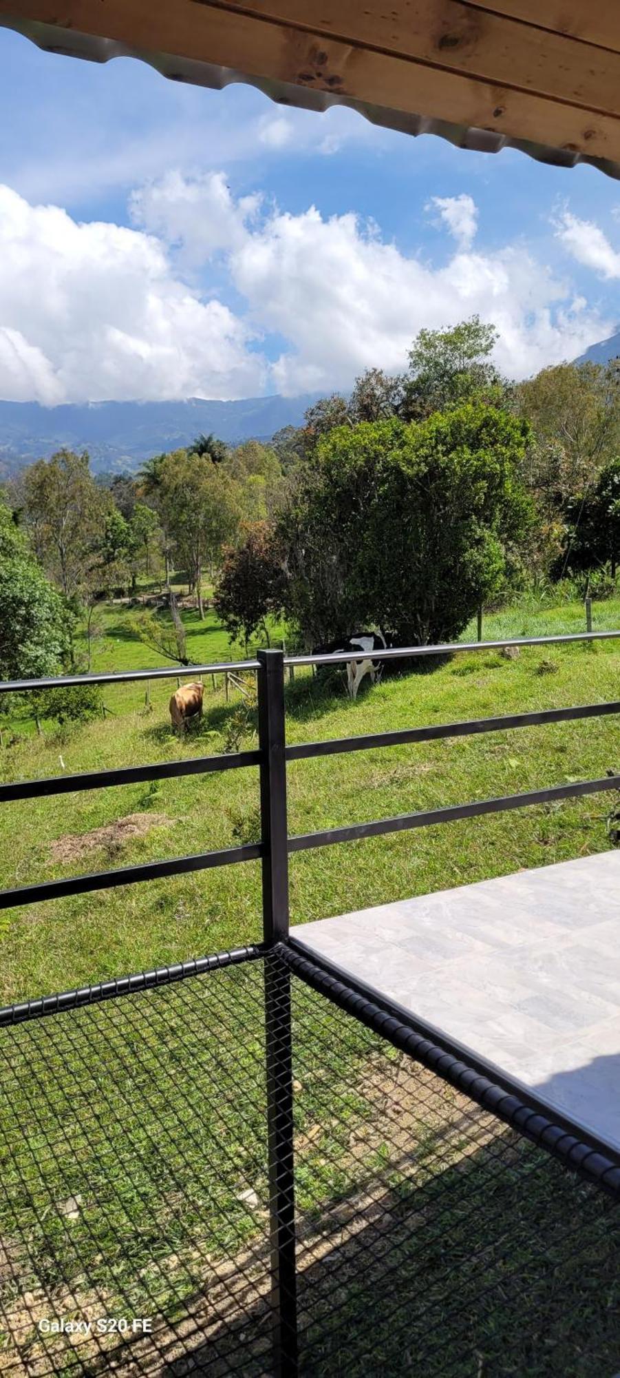 Rural Sicaru * Pacho