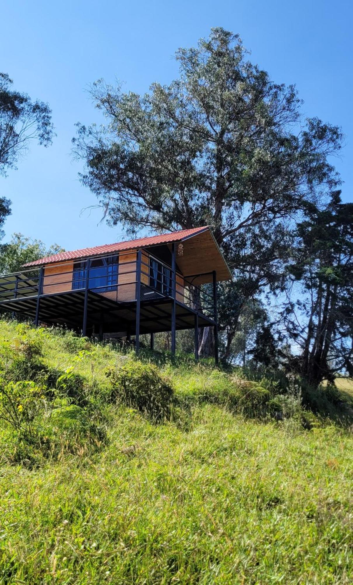 Camping Rural Sicaru *